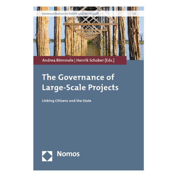 The Governance of Large-Scale Projects