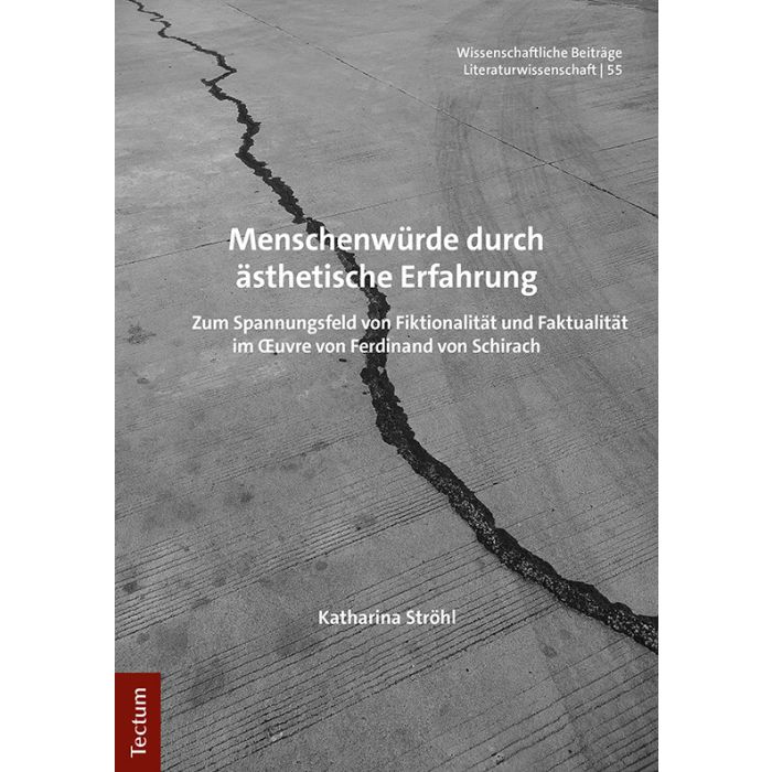 Menschenwürde durch ästhetische Erfahrung