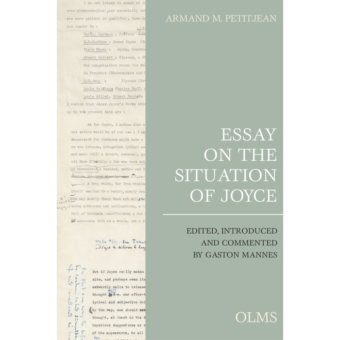 Essay on the Situation of Joyce Essay on the Situation of Joyce
