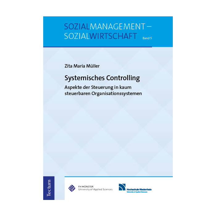 Systemisches Controlling Systemisches Controlling