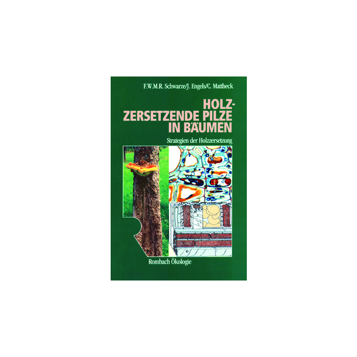 Holzzersetzende Pilze in Bäumen Holzzersetzende Pilze in Bäumen