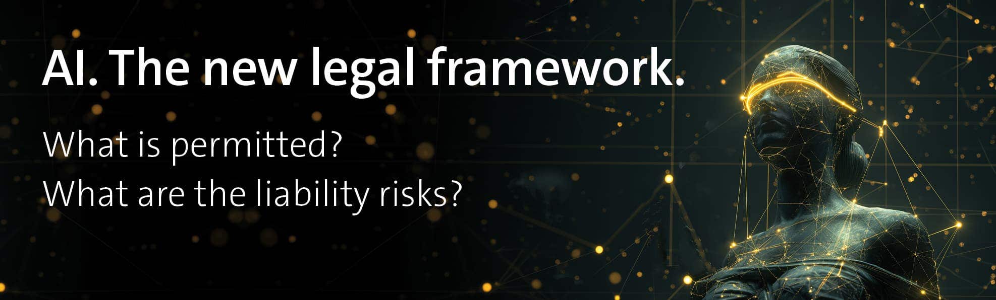 AI. The new legal framework. What is permitted? What are the liability risks?